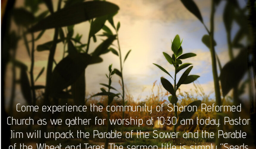 Matthew 13:1-9, 18-30,36-43 “Seeds and Weeds”