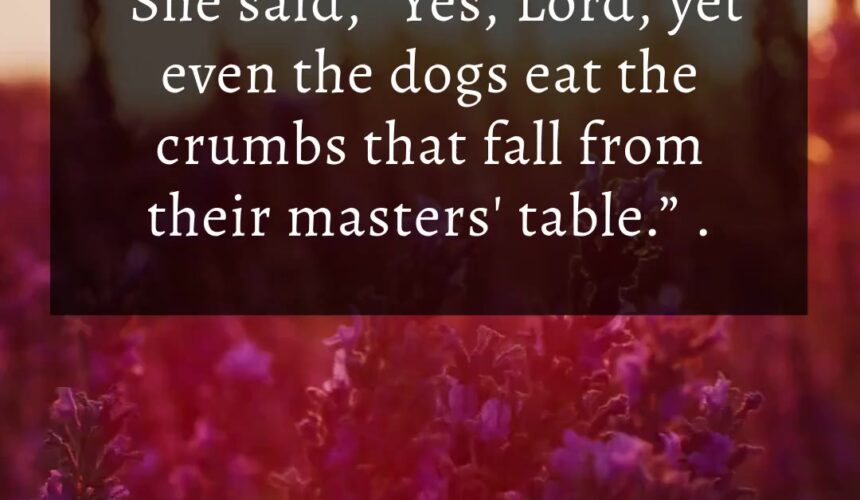 Inner Power Video Template Matthew 15:1-28 “Lip Service or Living Faith?”